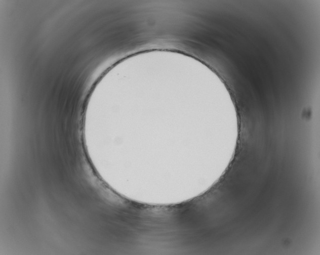 X0000111000950200906191140