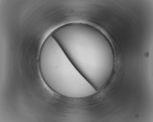 X0000111000951200906191140