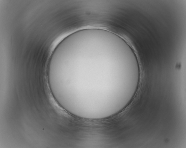 X0000111000952200906191140