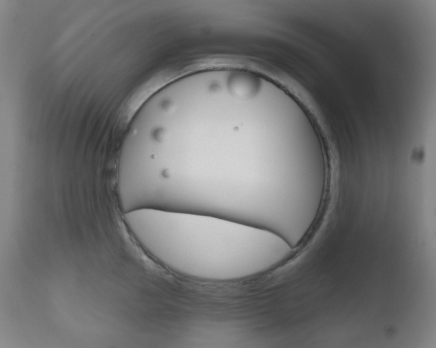 X0000111000953200906191140