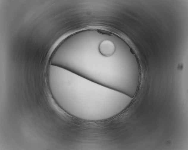 X0000111000955200906191140