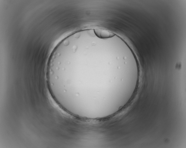 X0000111000957200906191140
