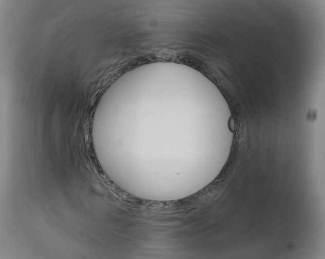 X0000111000962200906191140