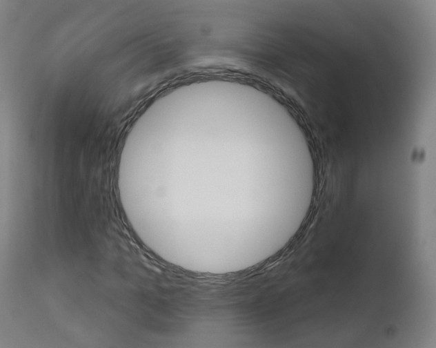 X0000111000965200906191140