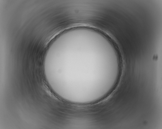 X0000111000969200906191140