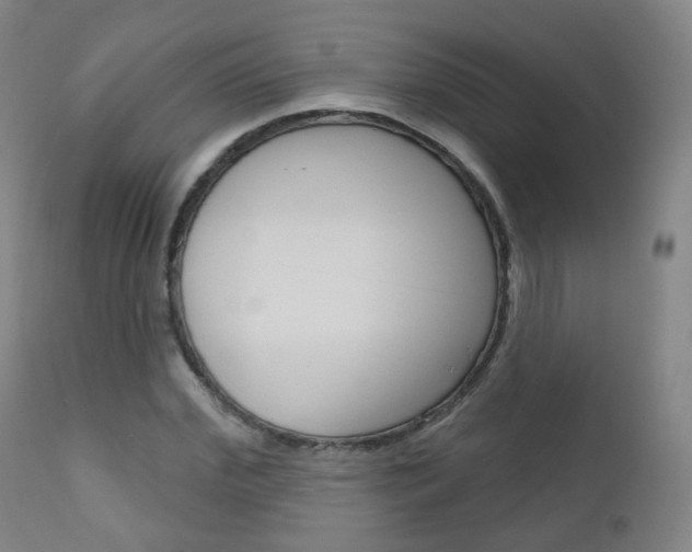 X0000111000972200906191140
