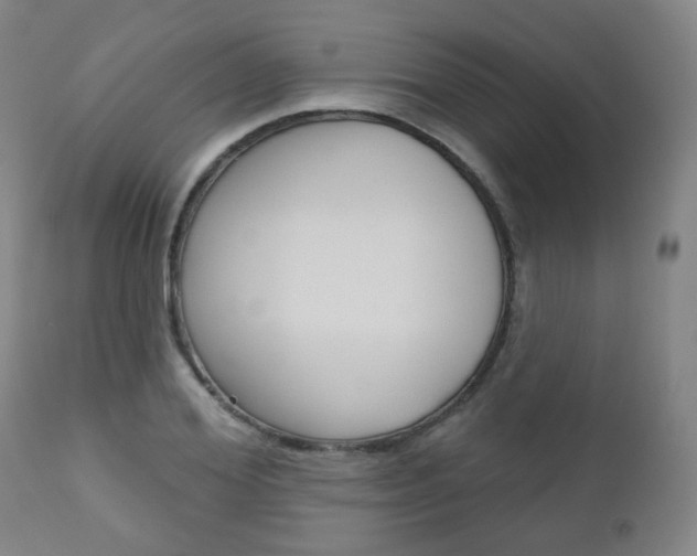 X0000111000980200906191140