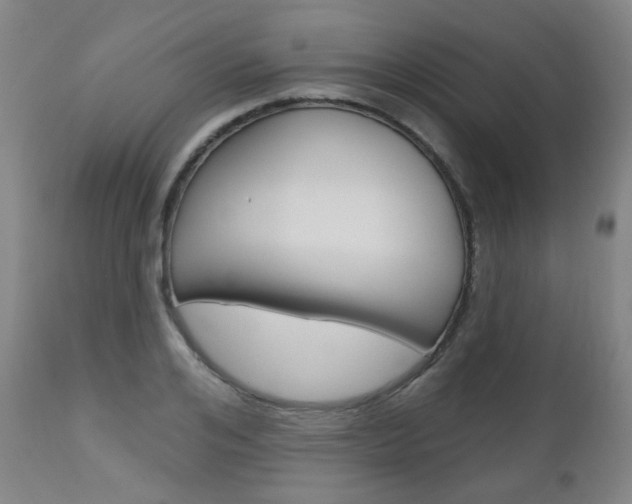 X0000111000984200906191139