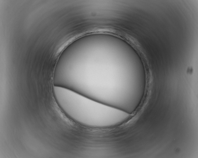 X0000111000985200906191139