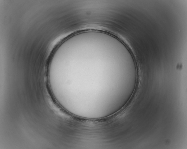 X0000111000987200906191139