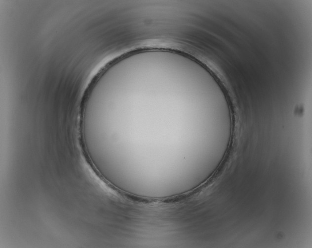X0000111000992200906191139