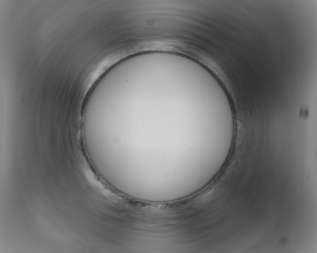 X0000111000994200906191139