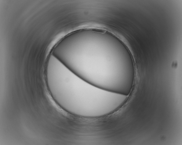 X0000111000997200906191139