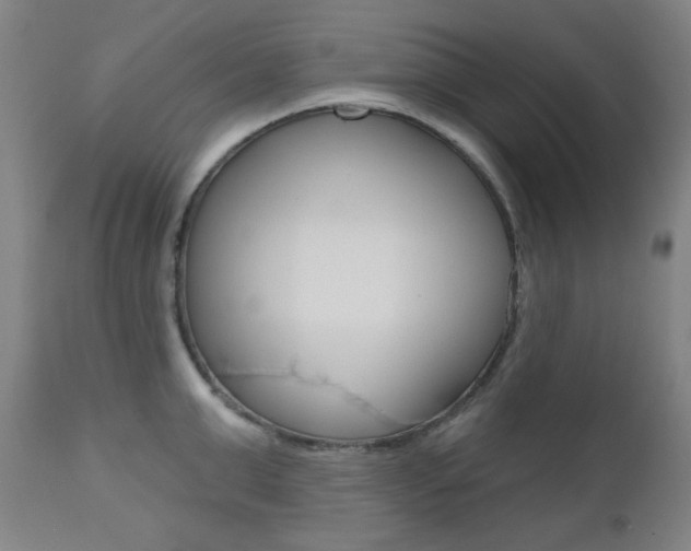 X0000111000999200906191139
