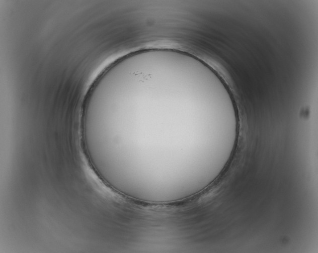 X0000111001000200906191139