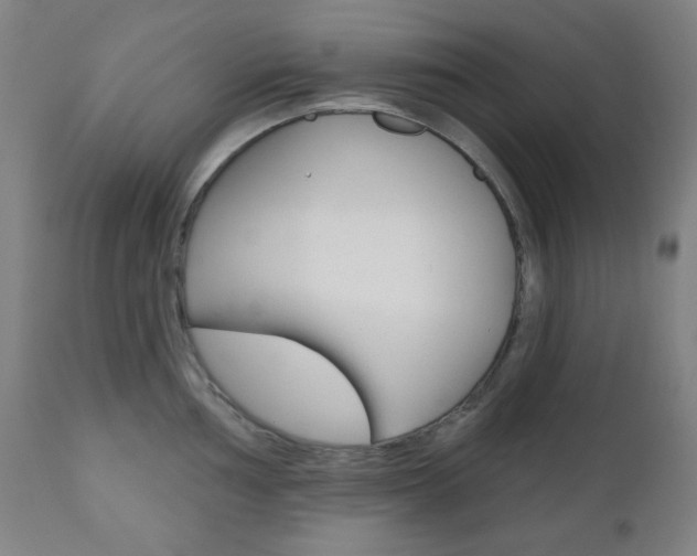 X0000111001002200906191139