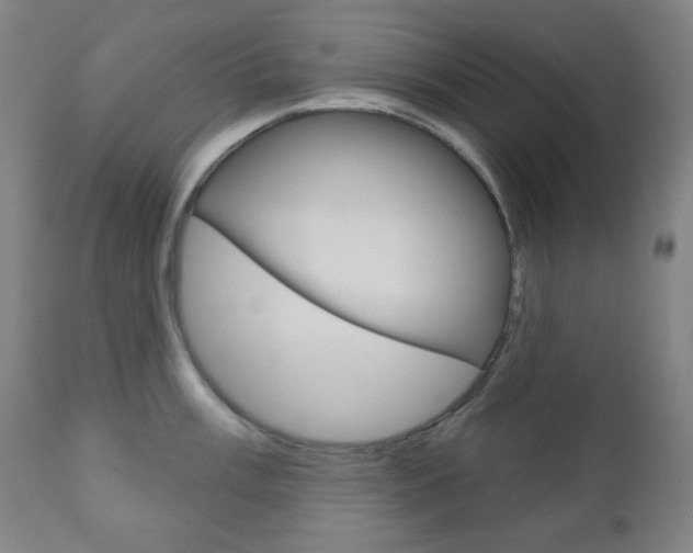 X0000111001003200906191139