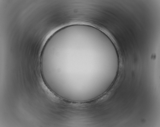 X0000111001004200906191139