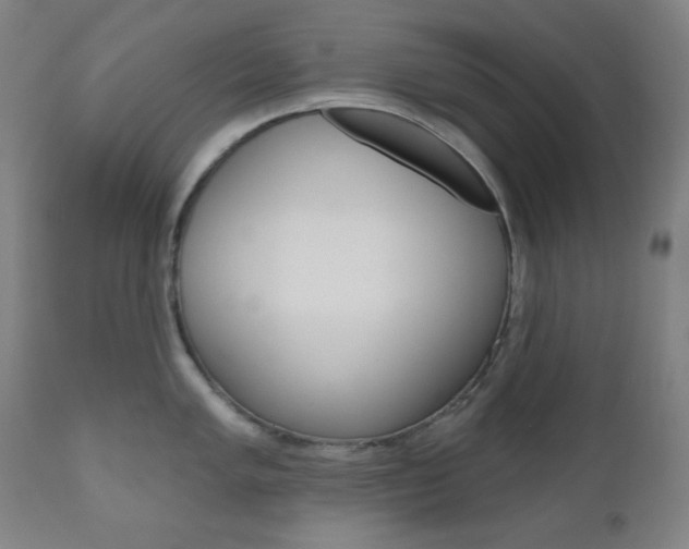 X0000111001005200906191139