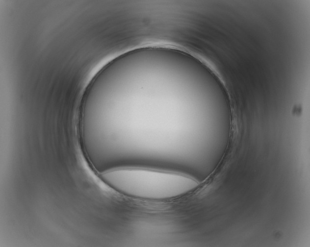X0000111001007200906191139