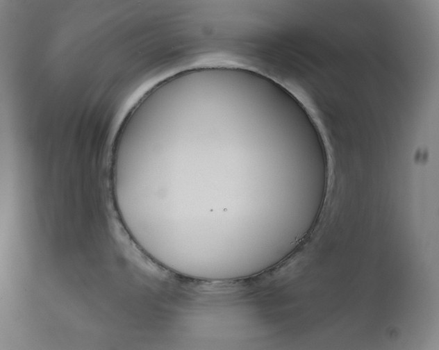 X0000111001008200906191139
