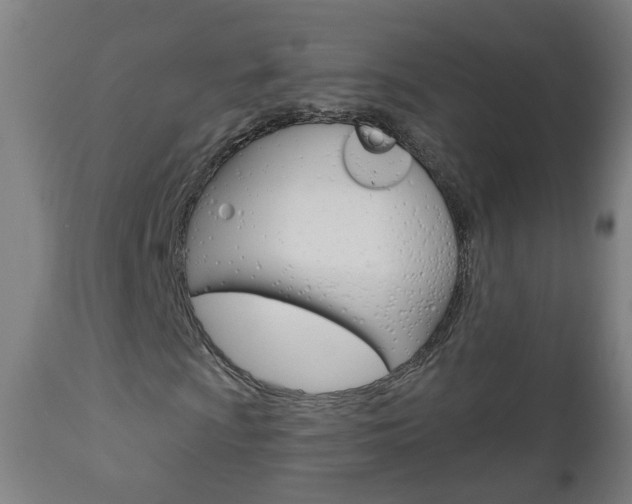 X0000111001009200906191138