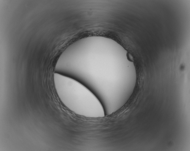 X0000111001010200906191138