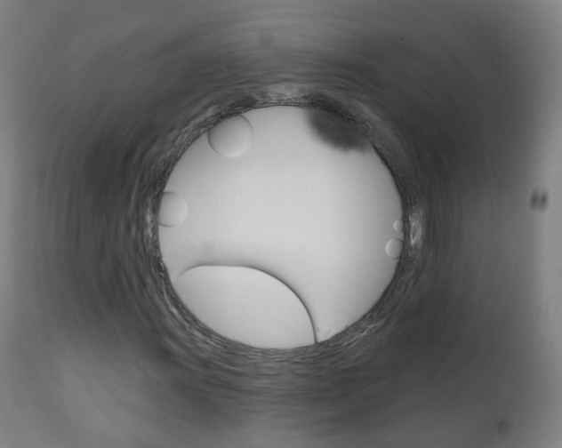 X0000111001011200906191138