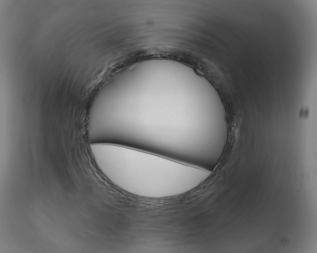 X0000111001012200906191138