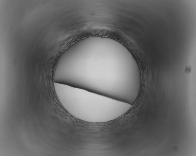 X0000111001013200906191138