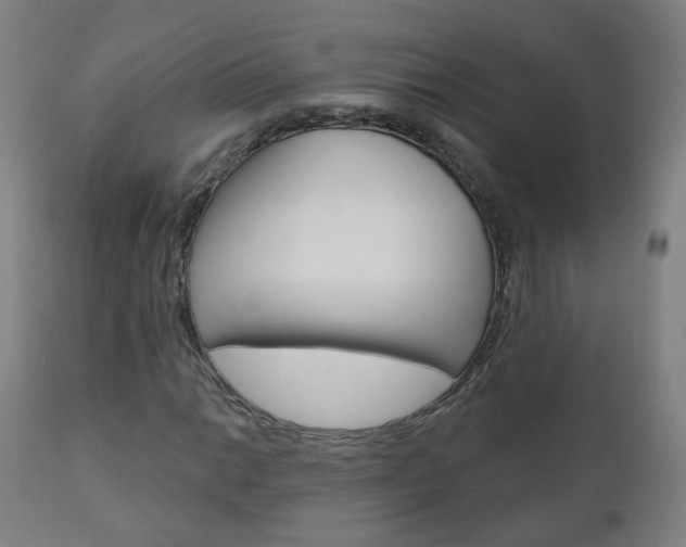 X0000111001014200906191138