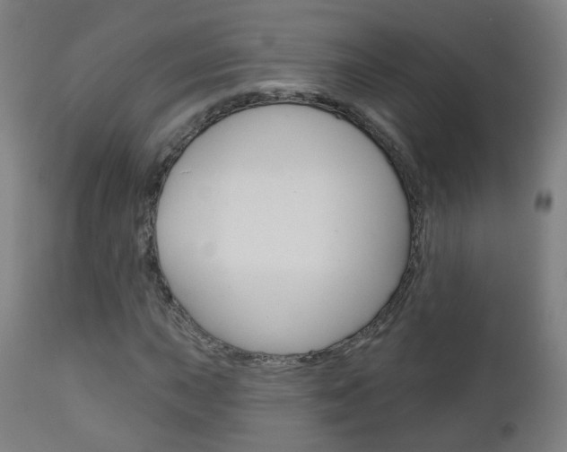 X0000111001015200906191138