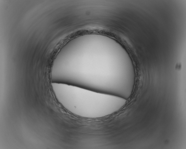 X0000111001016200906191138