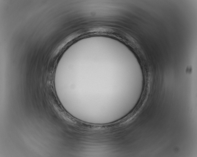 X0000111001017200906191138