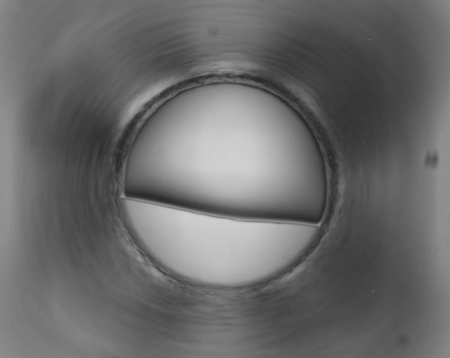 X0000111001018200906191138