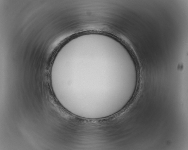 X0000111001019200906191138