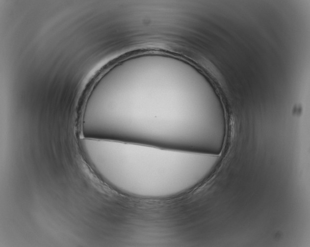 X0000111001020200906191138