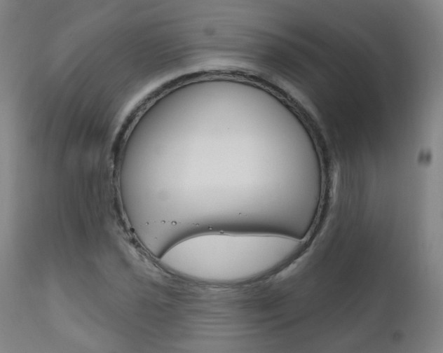 X0000111001021200906191138