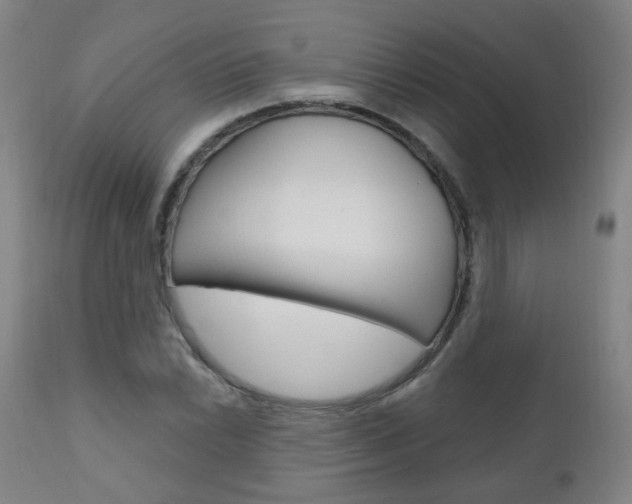 X0000111001022200906191139
