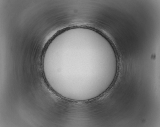 X0000111001023200906191139