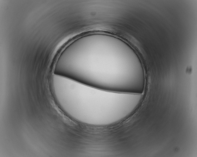X0000111001024200906191139