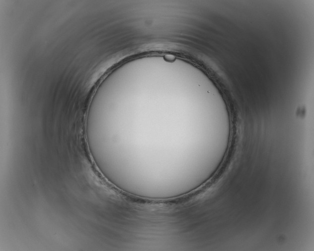X0000111001025200906191139