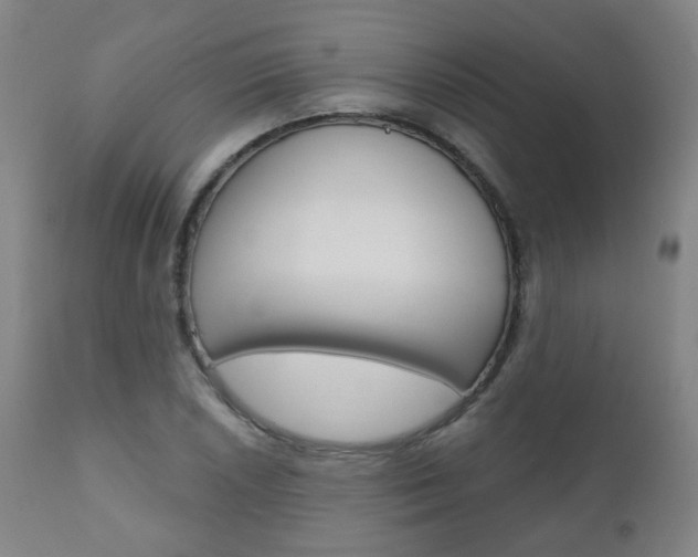 X0000111001026200906191139