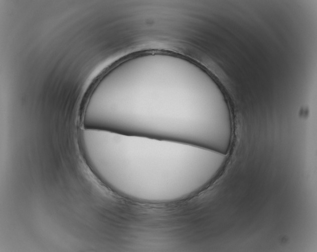 X0000111001028200906191139