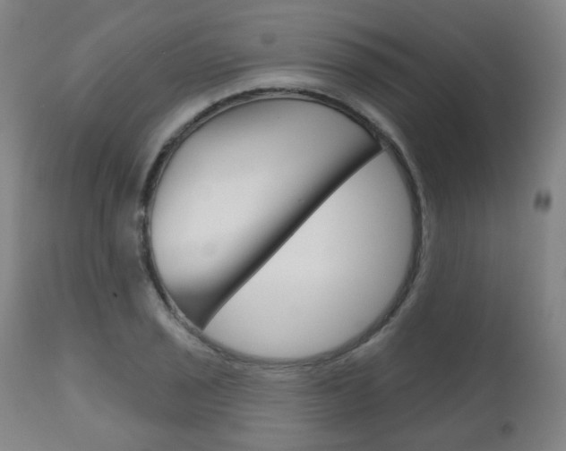 X0000111001029200906191139