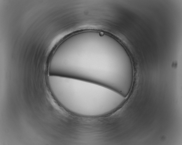 X0000111001030200906191139