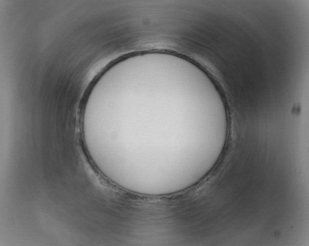 X0000111001031200906191139