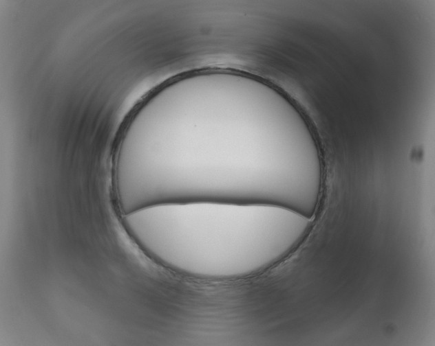 X0000111001032200906191139
