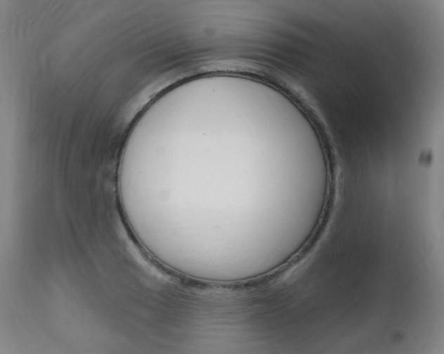 X0000111001033200906191139