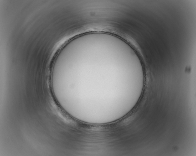 X0000111001035200906191139